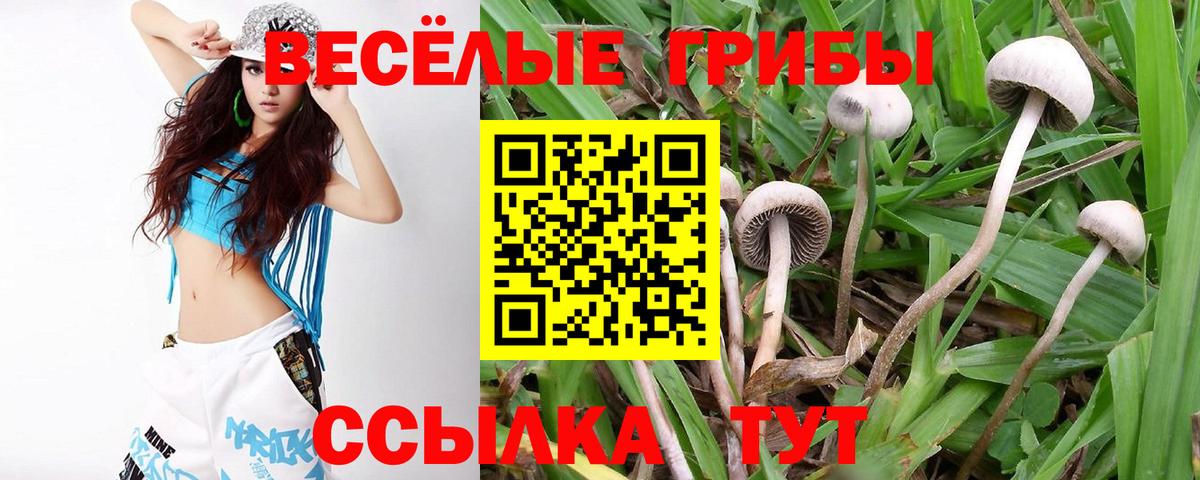 Псилоцибиновые грибы Magic Shrooms  Вход с VPN  Гулькевичи 